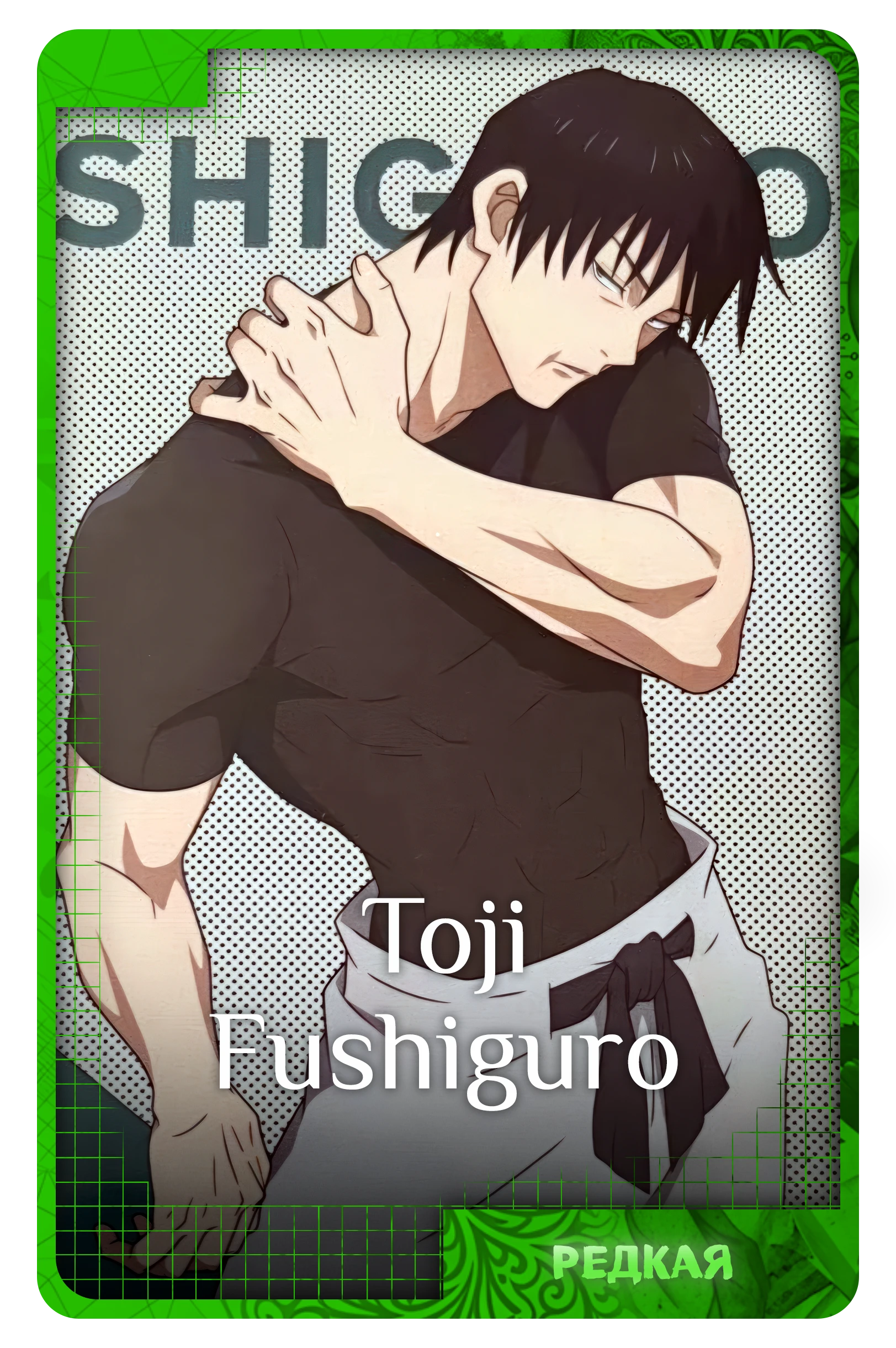 Toji Fushiguro